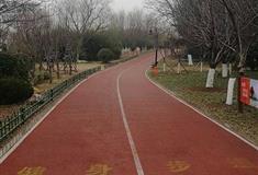 北京奥林匹克森林公园健身步道有什么好看的
