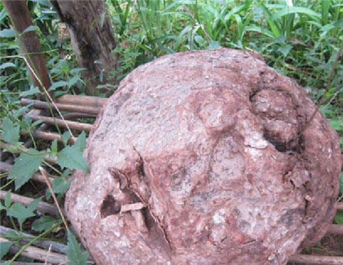 椰田古寨药王谷 椰田古寨药王谷