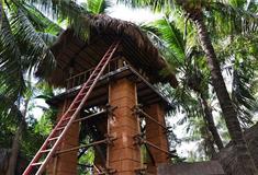 椰田古寨比武招亲