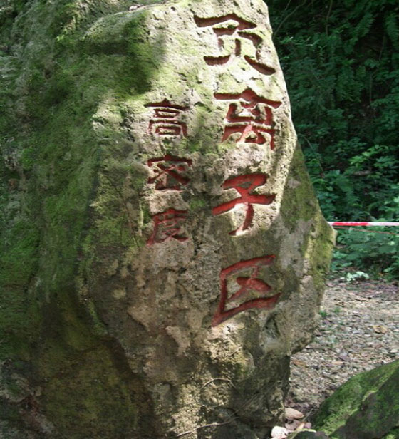 湛江湖光岩负离子区