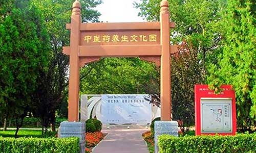 地坛公园10817