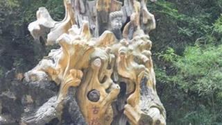 红豆峡景区古槐有什么好看的