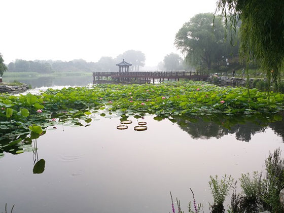 圆明园茜园