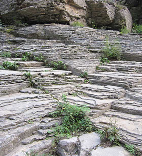红豆峡泥质条带灰岩