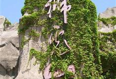 北京动物园狮虎山
