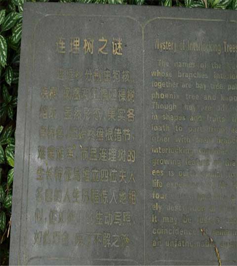 开平立园10611