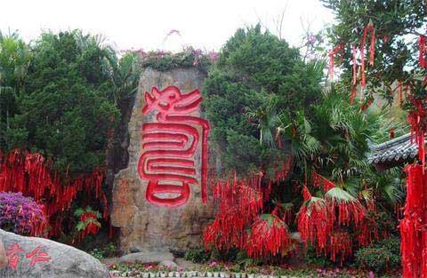 南山文化旅游区11636