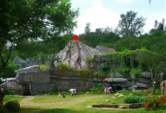 湛江湖光岩原始林