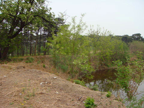 圆明园澹泊宁静