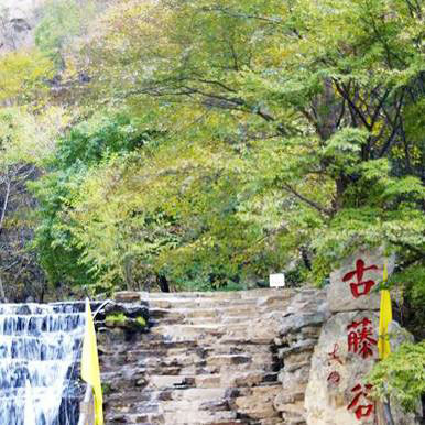 介休绵山11002