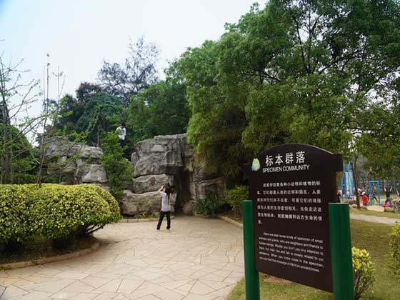 深圳海上田园12522
