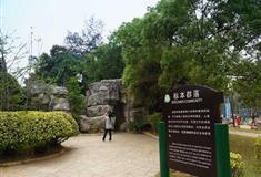 深圳海上田园标本群落
