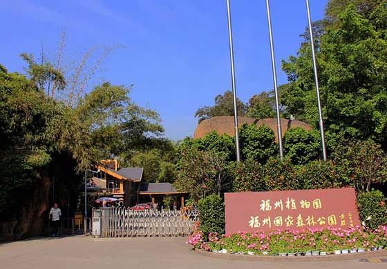 福州国家森林公园11878