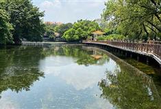 流花湖公园红桥葵堤有什么好看的