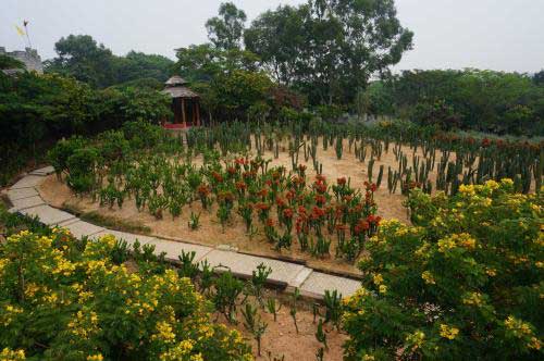 梦幻百花洲乡土游戏园