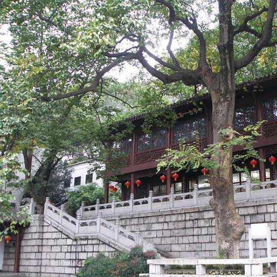 黄鹤楼12760