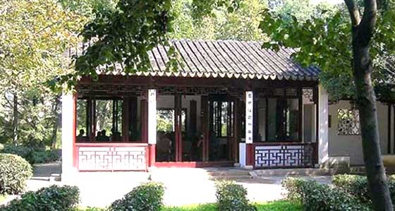 虎丘山风景区云在茶香