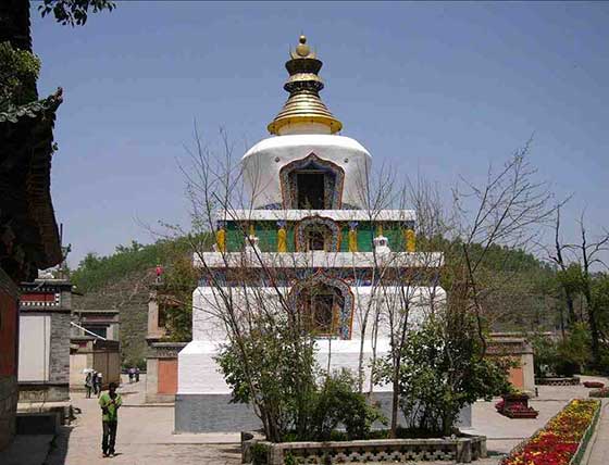 塔尔寺13631