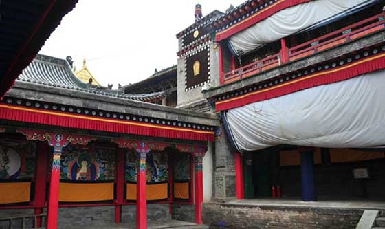 塔尔寺13620
