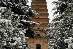 香积寺善导塔
