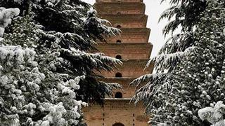香积寺善导塔