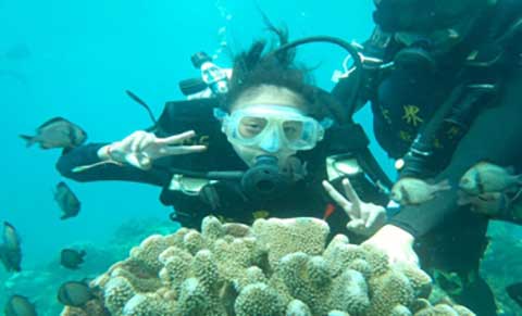 陵水分界洲岛潜水平台 陵水分界洲岛潜水平台