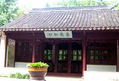 虎丘山风景区书台松影