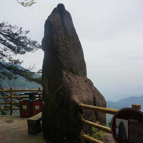 陵水分界洲岛海豚望月 陵水分界洲岛海豚望月