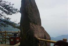 陵水分界洲岛海豚望月