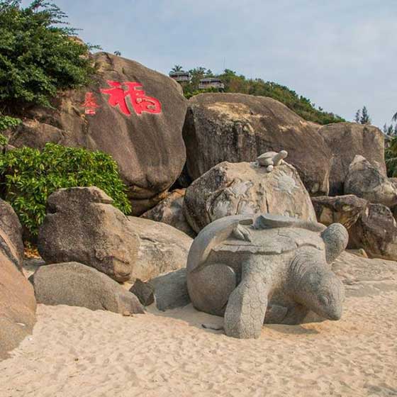 陵水分界洲岛神龟出世 陵水分界洲岛神龟出世