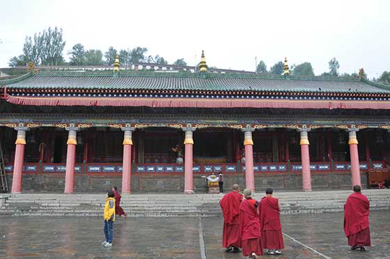 塔尔寺拉科院