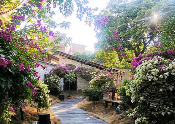 广州花山小镇在哪？花都花山小镇游玩攻略