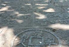 陵水分界洲岛前途无量