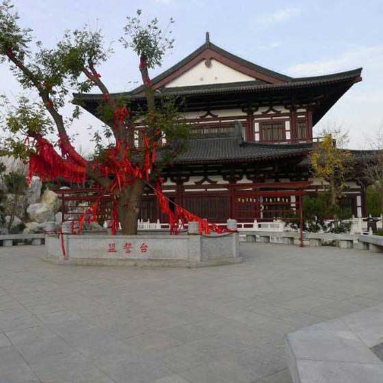 华清宫13317