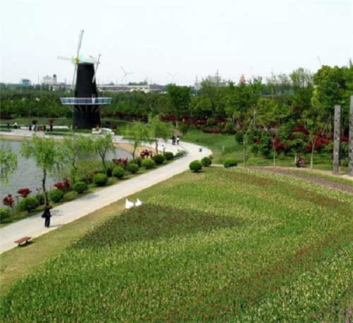 上海鲜花港14530