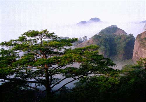 冠豸山14914