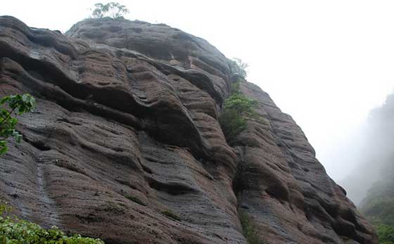 冠豸山鲤鱼背