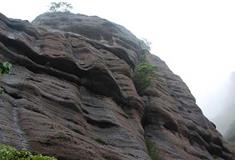 冠豸山：鲤鱼背