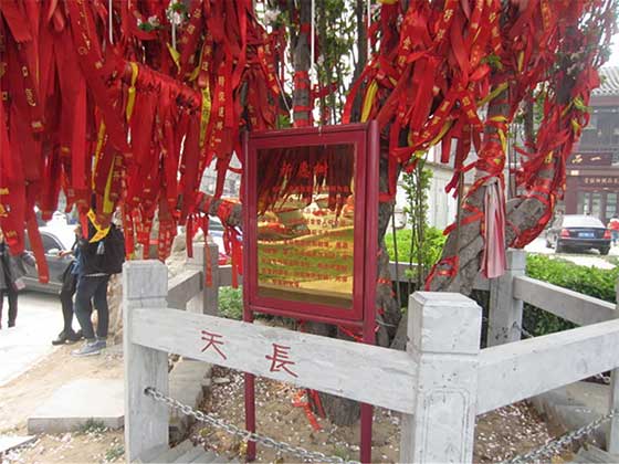 津门故里14632
