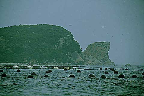仙女湖14774
