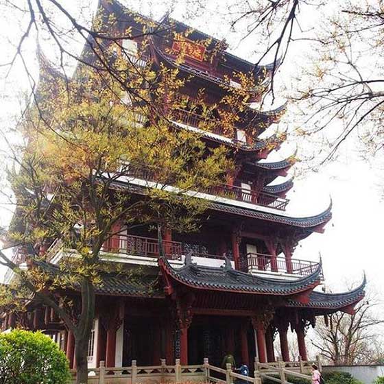 采石矶14816