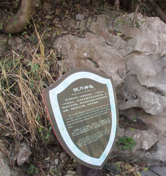 明月峡景区明月神龟