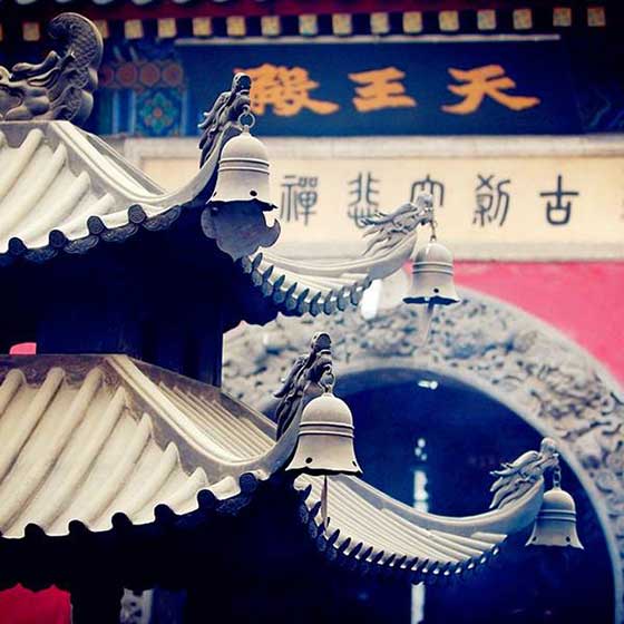 大悲禅院14861