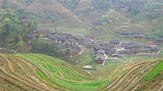 龙脊梯田大寨