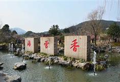 香雪海