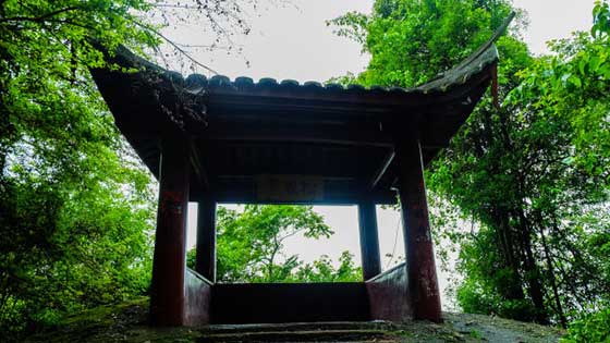 冠豸山14916