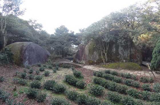 太姥山风景名胜区15003