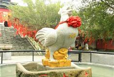 桂林义江缘景区求财鸡