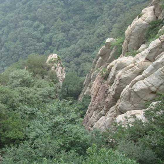 三皇寨陡立岩层