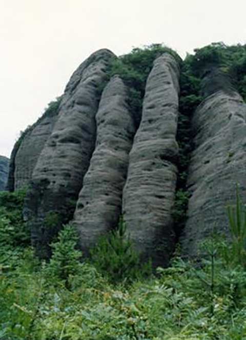 冠豸山14900